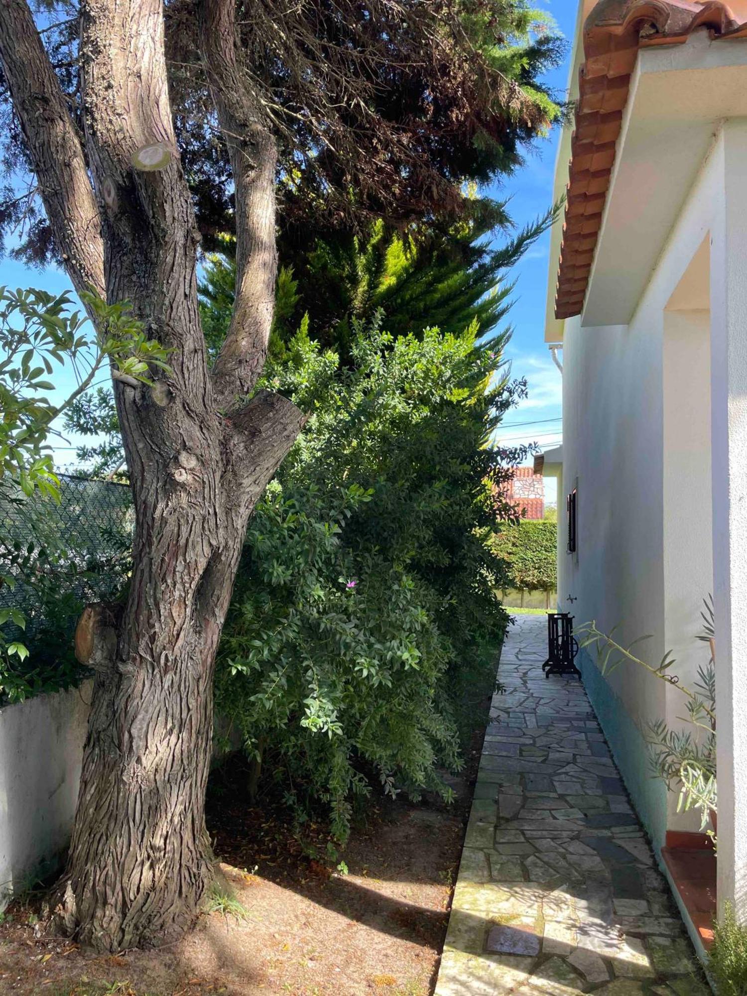 Santa Cruz Beach House Areias エクステリア 写真