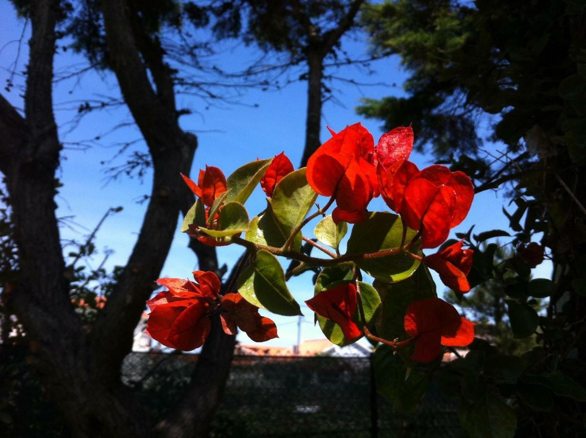 Santa Cruz Beach House Areias エクステリア 写真